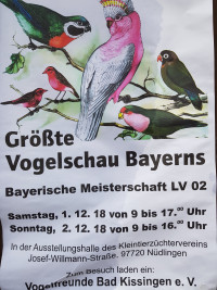 Vogelschau Nüdlingen 2018 12 01
