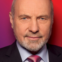 Rainer Arnold, MdB