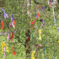 Maibaum