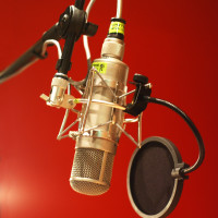 Radiointerview / Mikrofon