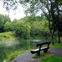Bank am See, Hochrhoen