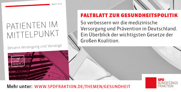 Faltblatt Gesundheitspolitik